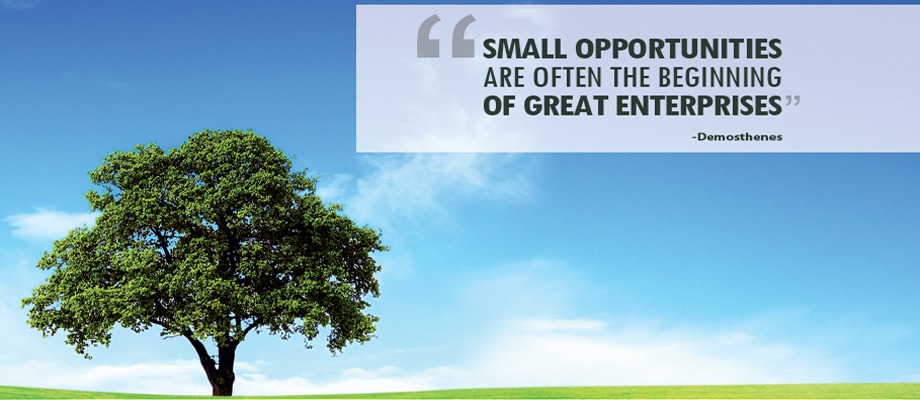 small-opportunities